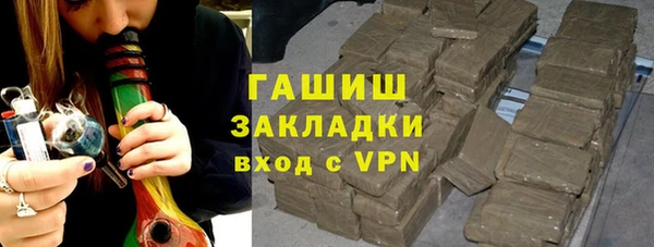 шишки Горно-Алтайск