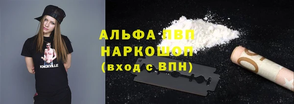стаф Белокуриха