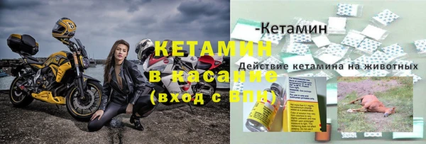 стаф Белокуриха